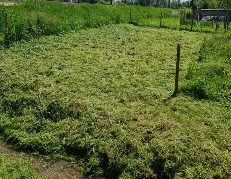 Schrebergarten Steiermark