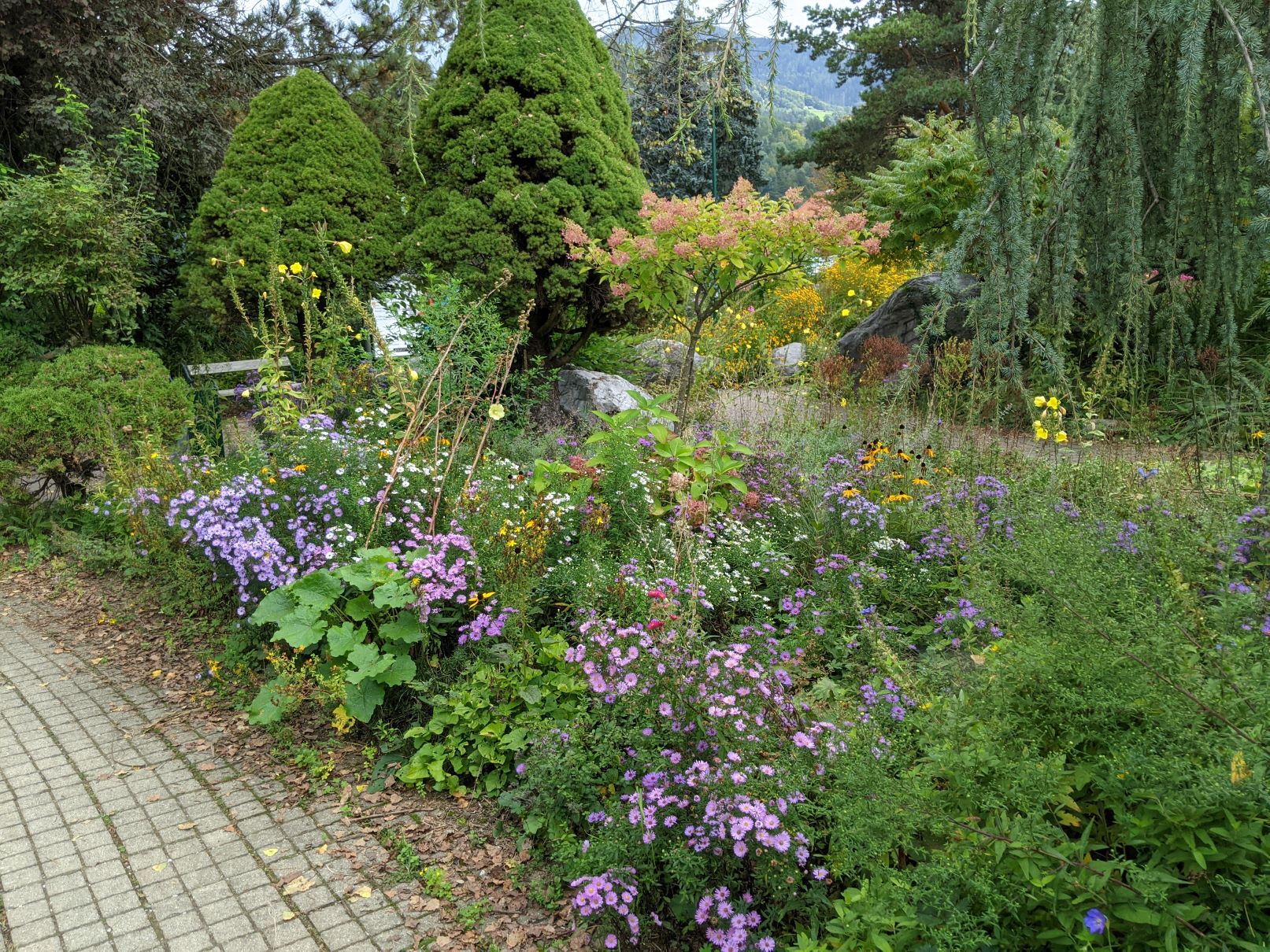 Blumenbeet Volkshauspark