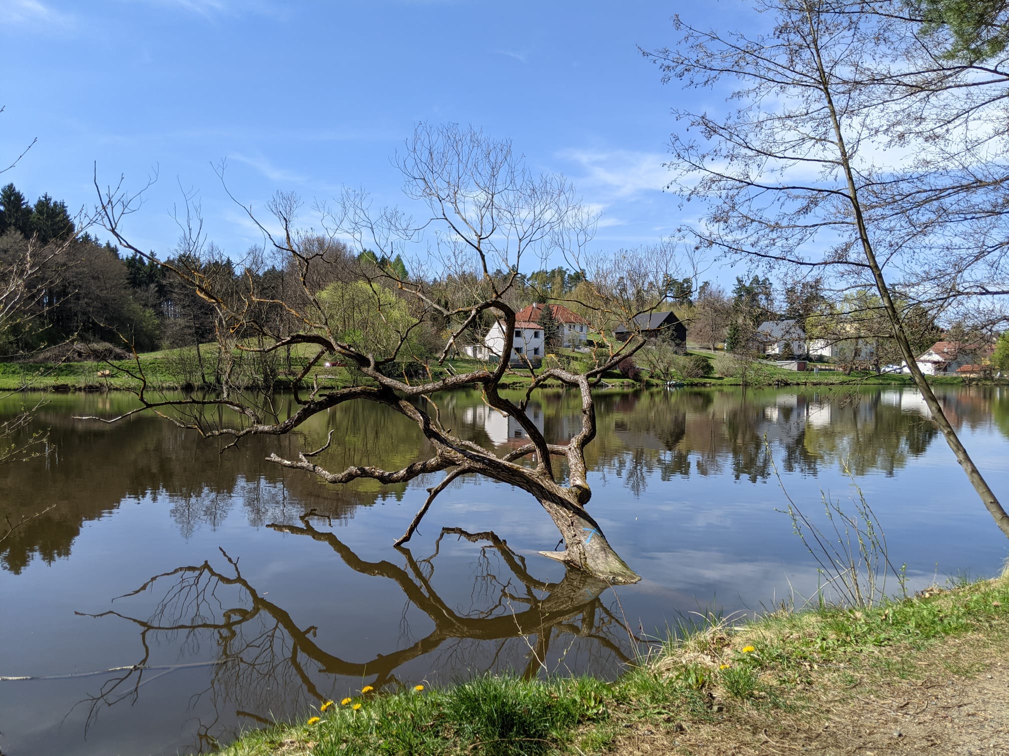 Stadtsee Allentsteig