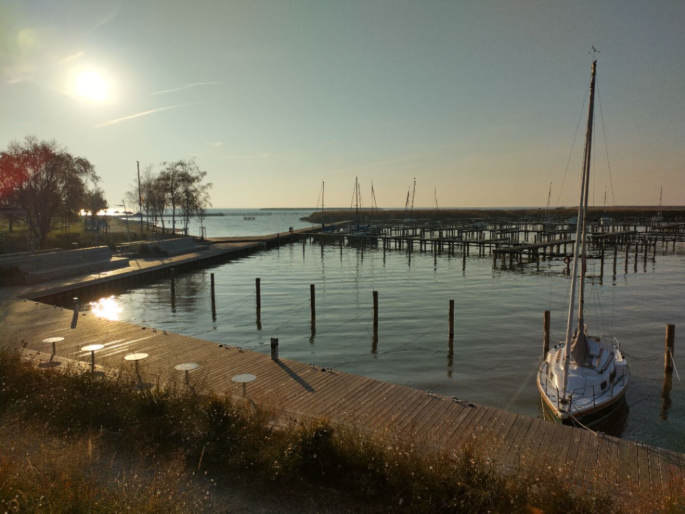 Segeln Neusiedlersee