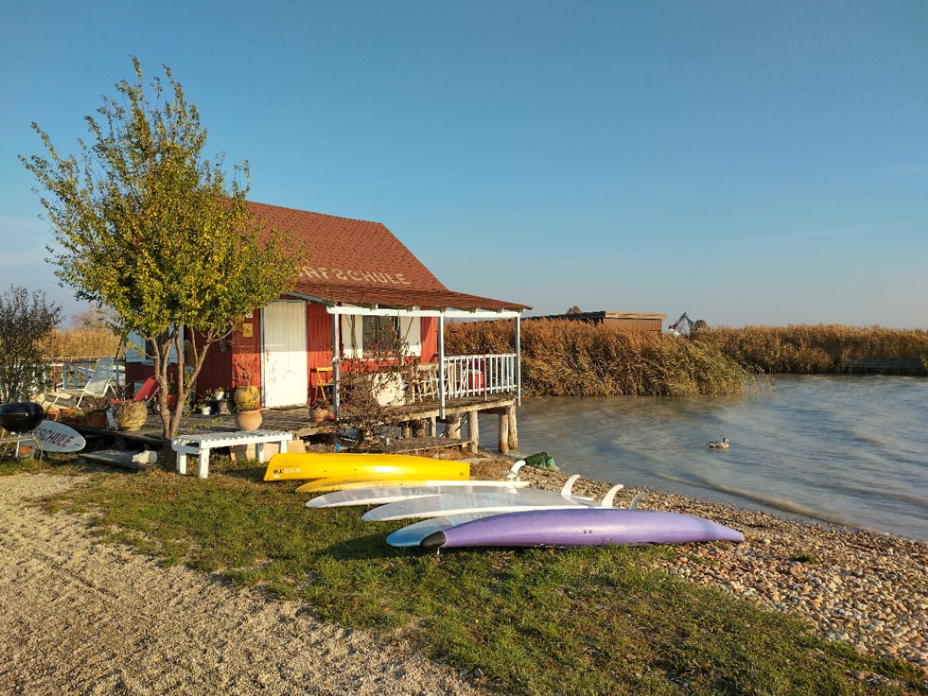 Surfen Neusiedlersee